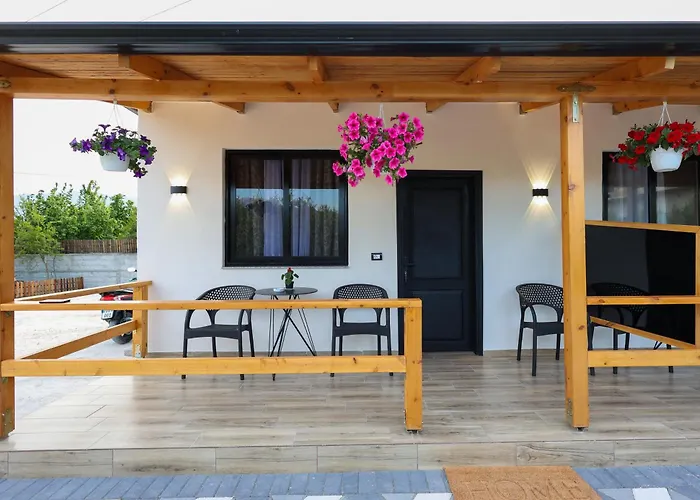 Olive Oasis Studio