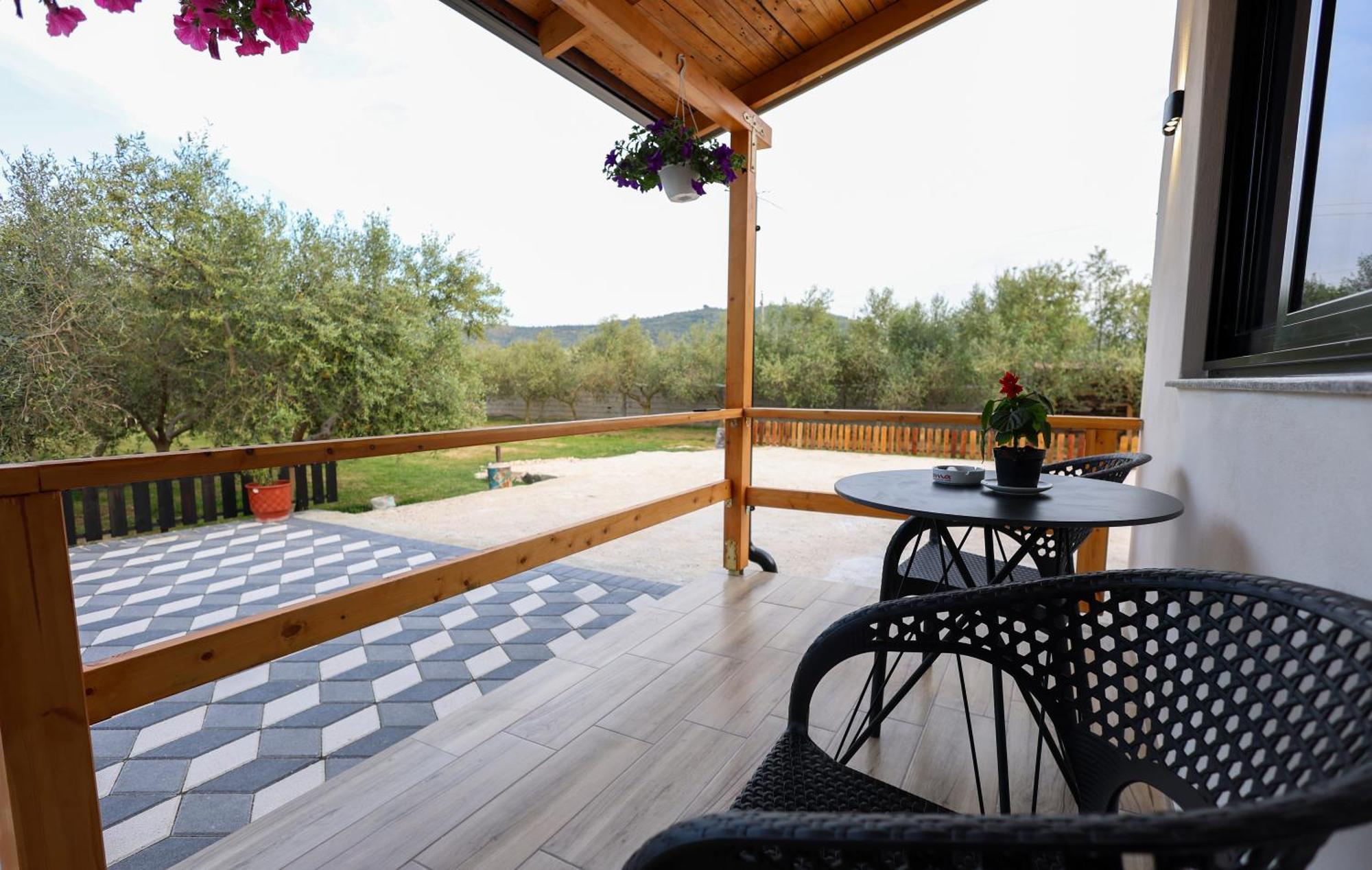 Olive Oasis